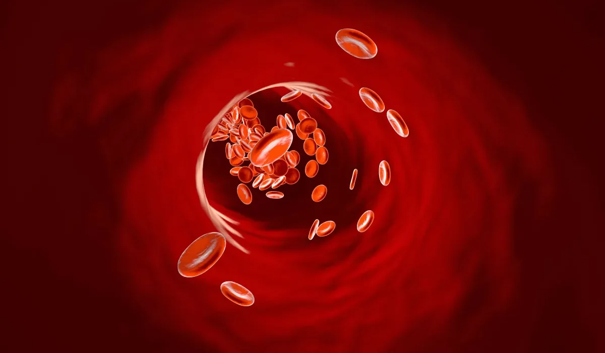 Découverte d'un Nouveau Médicament Renforçant la Chimiothérapie pour la Leucose