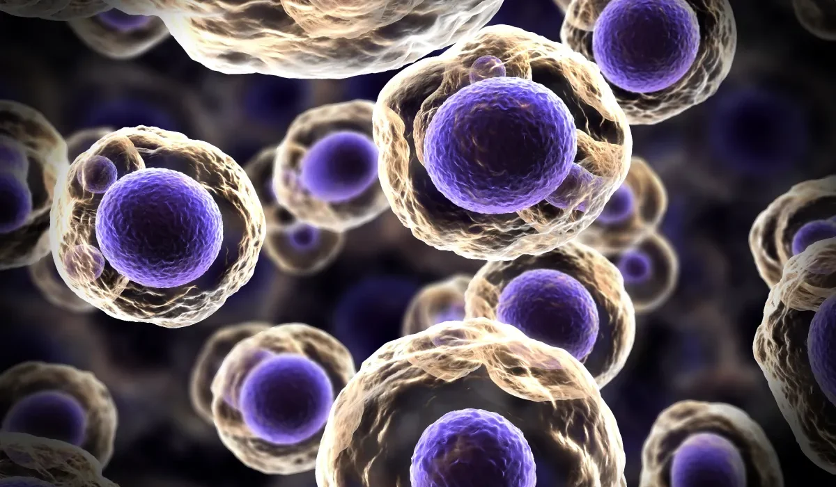 Des Biopsies Liquides pour une Détection du Cancer plus Rapide : Une Nouvelle Étude Révèle leur Potentiel