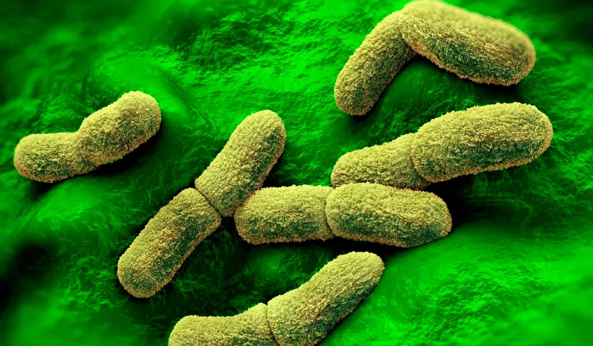 Des Chercheurs Ont Développé Une Nouvelle Arme Contre les Maladies.