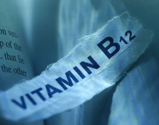Des Chercheurs Révèlent une Solution Innovante et Durable contre la Déficience en Vitamine B12
