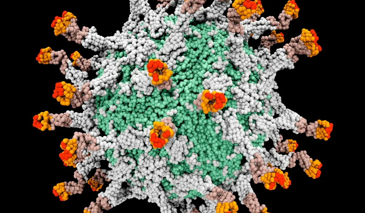 Des Plantes "Détournées" pour Développer un Vaccin : Une Éradication Possible de la Poliomyélite.