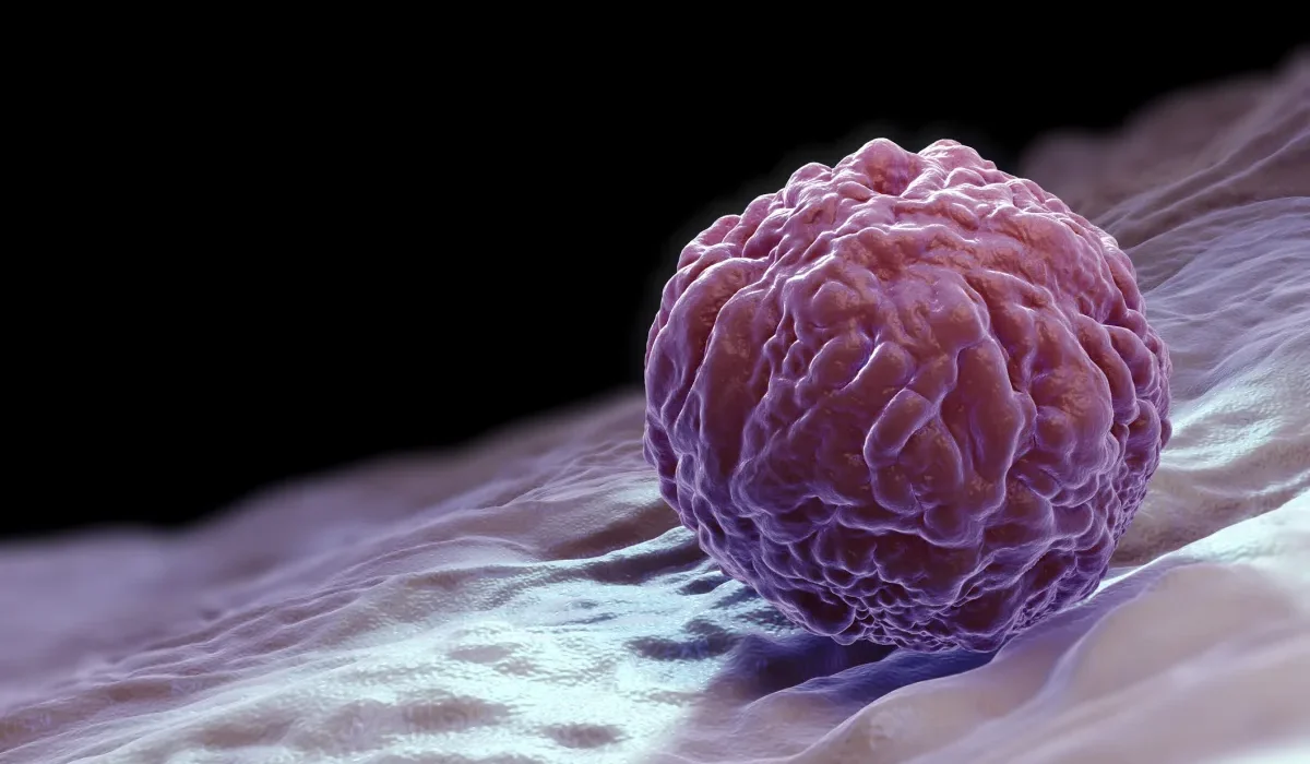 Des Scientifiques Aspirent à Inverser la Mort grâce aux Cellules Souches dans une Étude Controversée