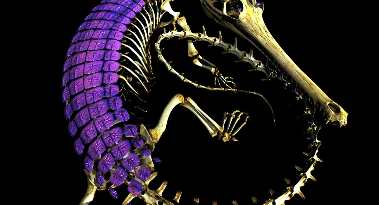 Des Scientifiques Résolvent le Mystère de 320 Millions d'Années de l'Armure de Peau des Reptiles