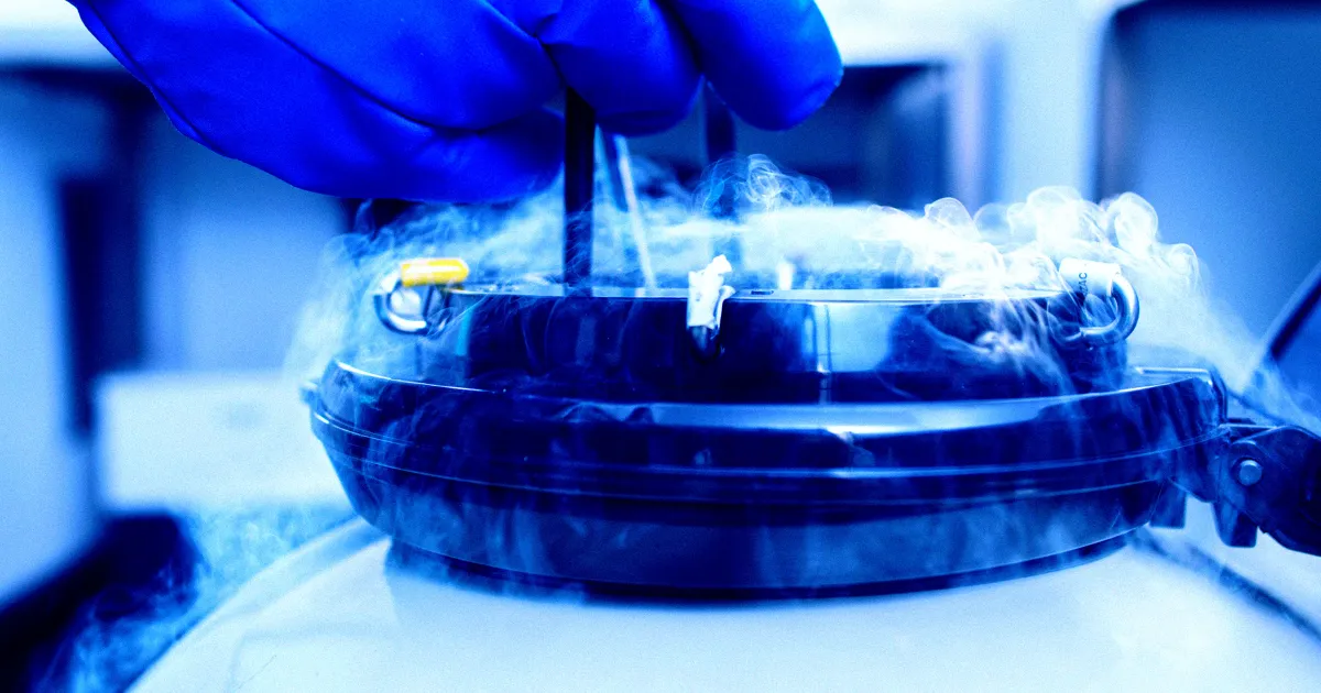 Des Scientifiques Réveillent des Cerveaux de Souris Après un Long Sommeil Cryogénique