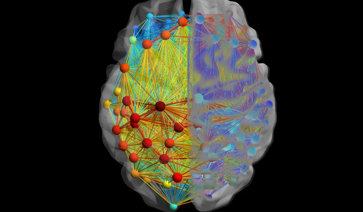 Des avancées scientifiques permettent de cibler la zone cérébrale responsable des hallucinations auditives chez les schizophrènes.