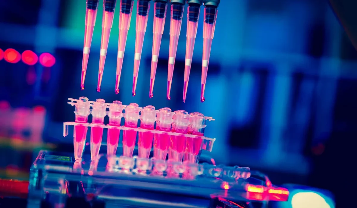 Des cellules non immunitaires conçues par des scientifiques pour éliminer le cancer au contact.