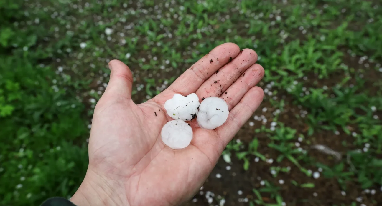 Des chercheurs alertent sur une possible augmentation des grêlons de la taille d'une balle de golf en raison du changement climatique.