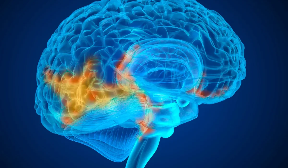 Des neuroscientifiques s’attaquent à la transformation de nos circuits cérébraux pour éliminer la douleur.