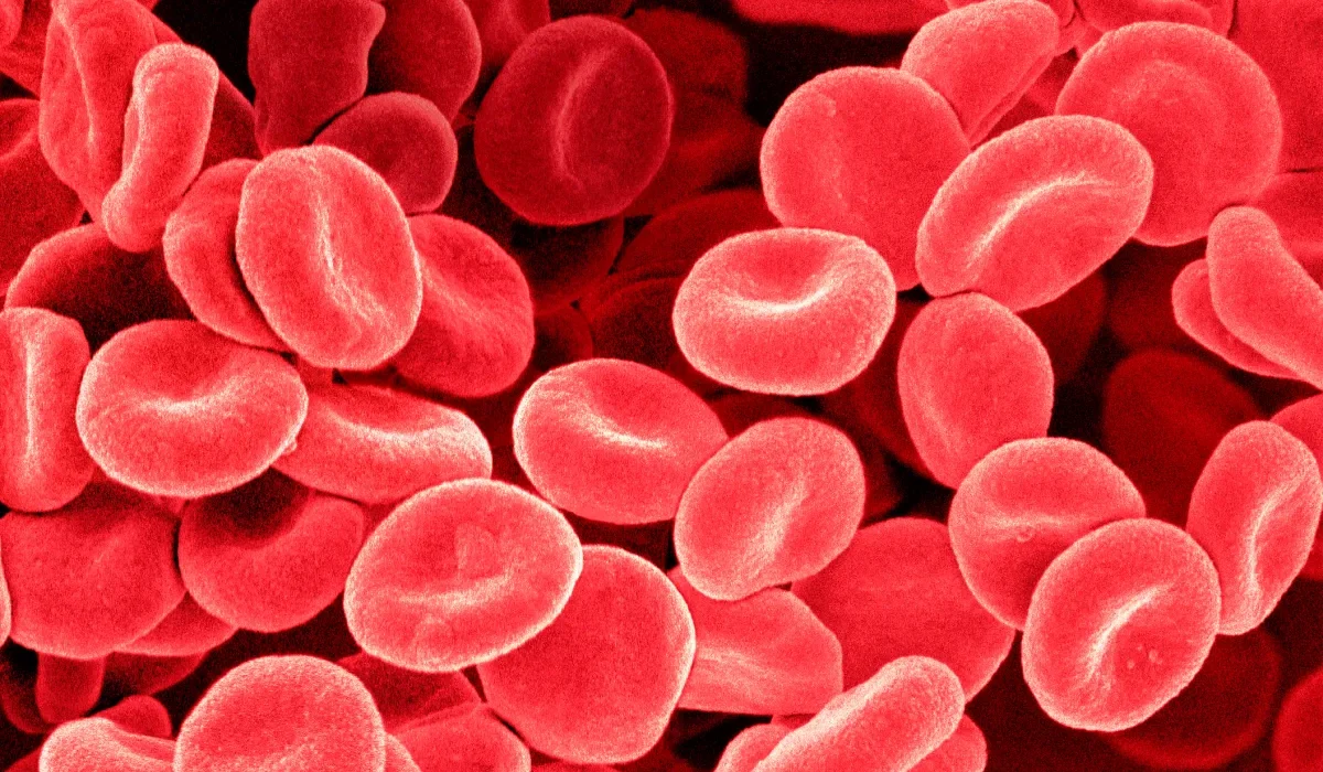 Des scientifiques découvrent une méthode pour générer des cellules combattant le cancer.