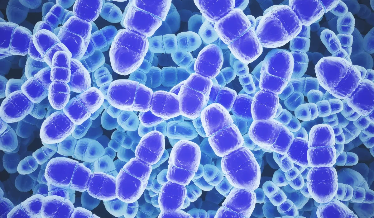 Des scientifiques réussissent à encoder un GIF dans l'ADN de bactéries grâce à la technologie CRISPR.