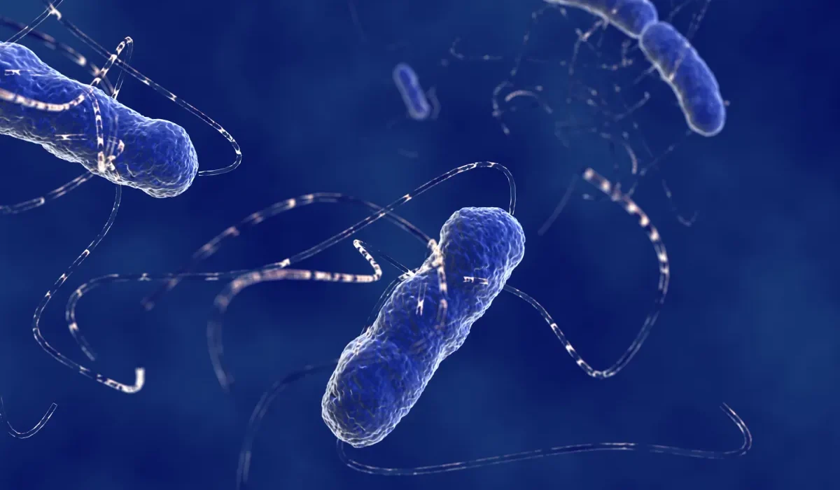 Des scientifiques transforment des bactéries E. Coli en enregistreurs microscopiques grâce à la technologie CRISPR