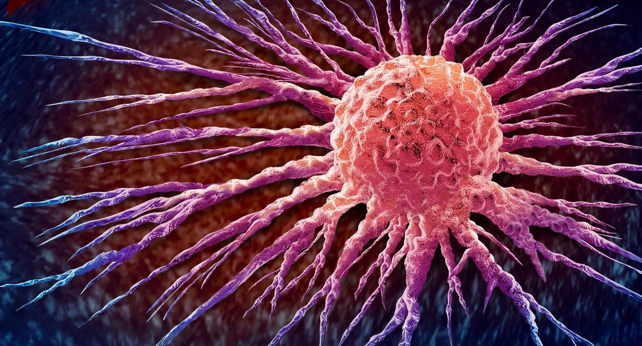Des scientifiques utilisent les bactéries du cancer pour développer une thérapie révolutionnaire.