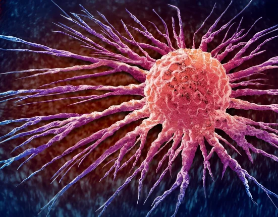 Des scientifiques utilisent les bactéries du cancer pour développer une thérapie révolutionnaire.