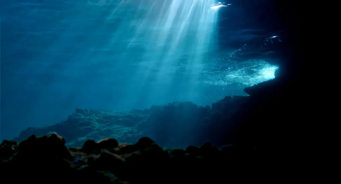 Exploration des Abysses : Des Robots Sous-Marins Révèlent un Habitat Hostile à 3 Miles de Profondeur