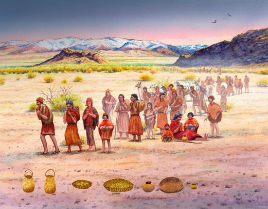 L'ADN Ancien Dévoile la Diffusion de l'Agriculture et ses Conséquences sur une Civilisation.