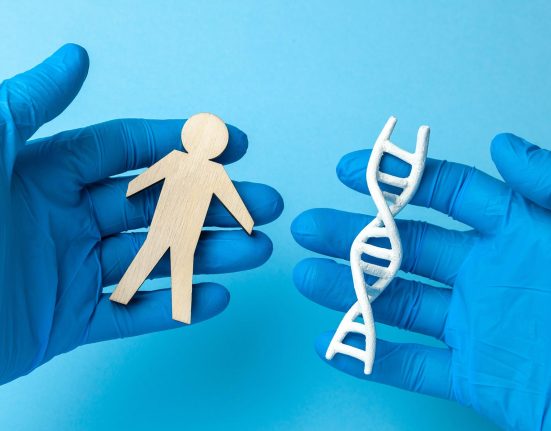 L’ADN Ancien Révèle une Histoire Complexe des Origines Européennes