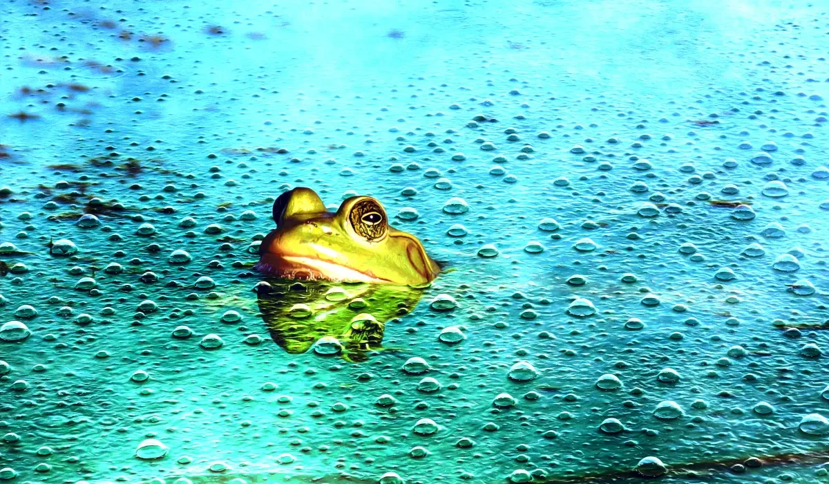L'Impact Insidieux de l'IA sur la Cognition Humaine : Une Étude Avertit d'un Effet de "Grenouille Bouillante"