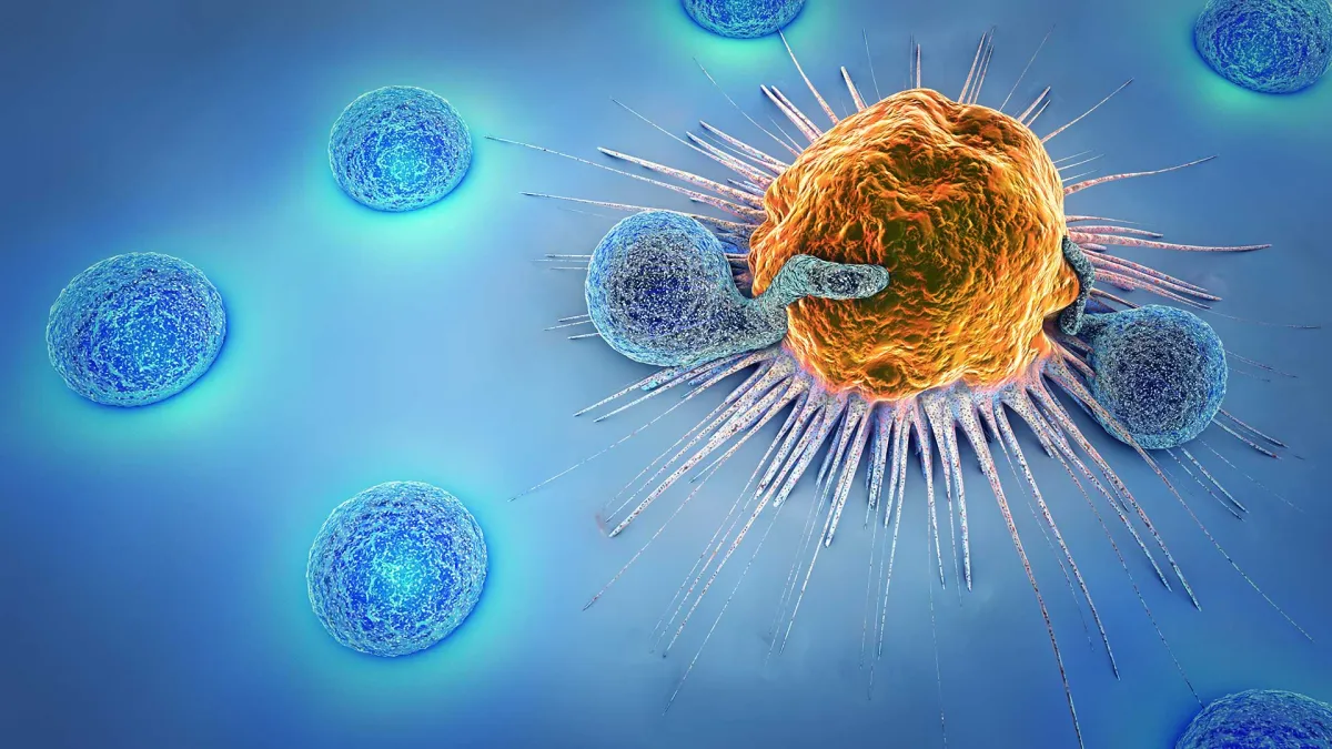 La FDA des États-Unis Approuve un Traitement Innovant Qui Reprogramme les Cellules pour Lutter Contre le Cancer.