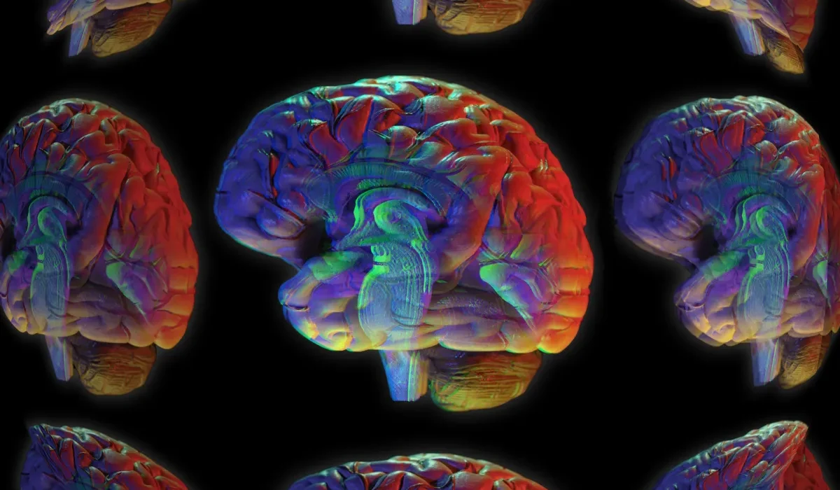 « La Vie ou la Mort des Patients Comateux : L'Apport du Machine Learning dans la Décision »