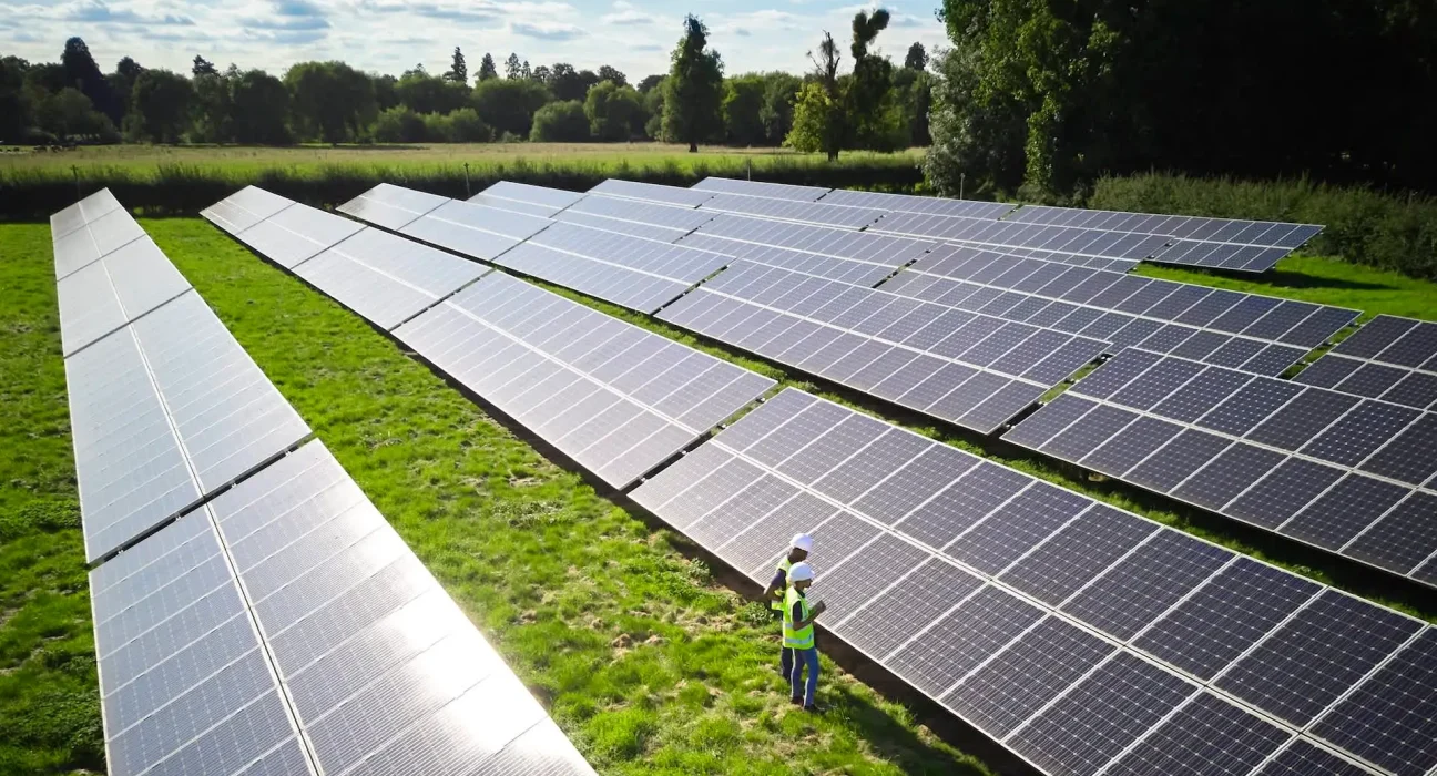 « La canicule européenne submerge le réseau de panneaux solaires et fait chuter les prix de l'énergie sous zéro »
