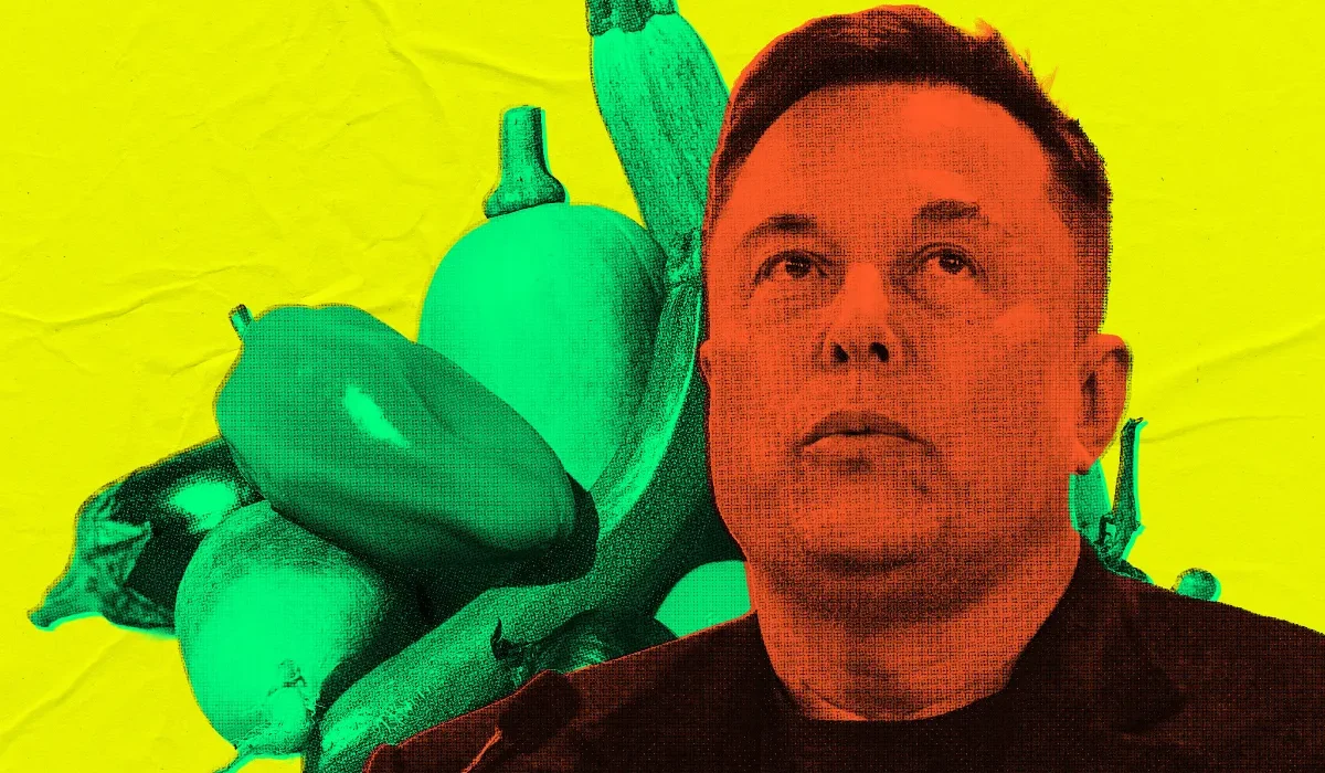 « Le Gouvernement Américain Lance Grok d'Elon Musk : Un Bot Nutritionnel Qui Recommande des Légumes pour Usage Rectal »