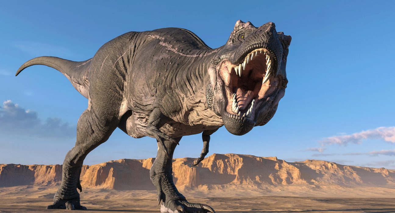 Les Dernières Découvertes sur les Petites Bras du T. rex