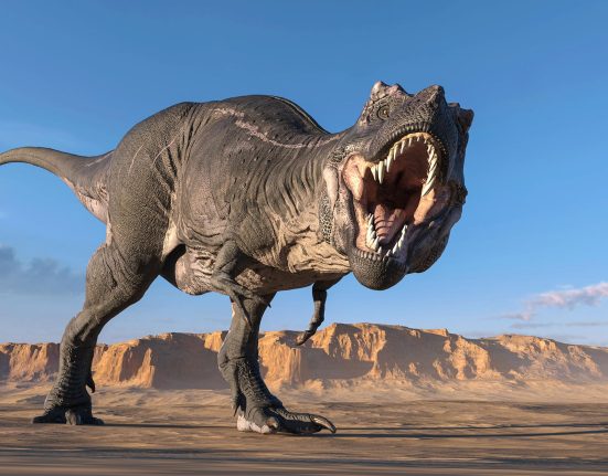 Les Dernières Découvertes sur les Petites Bras du T. rex