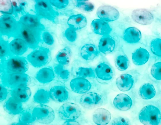 Les Mini Organes : Une Révolution dans le Traitement des Maladies, de la Fibrose Kystique au Cancer