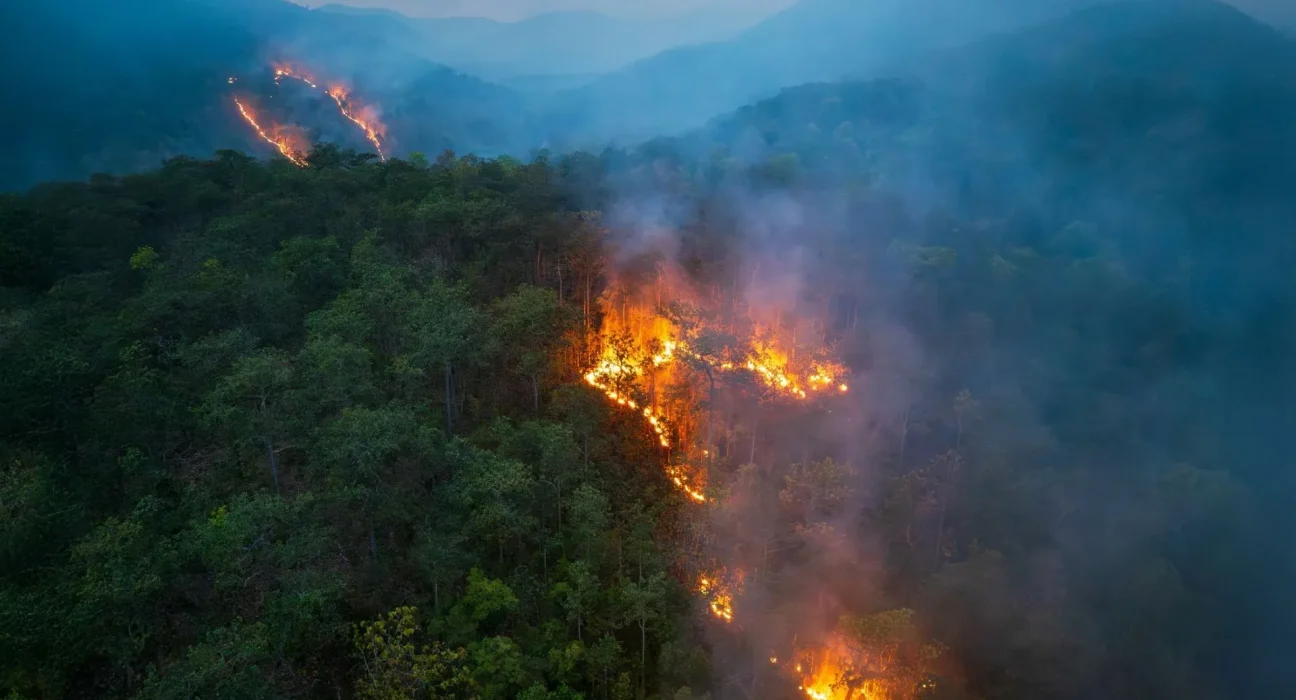 Les feux de forêt : un danger persistant pour notre eau potable