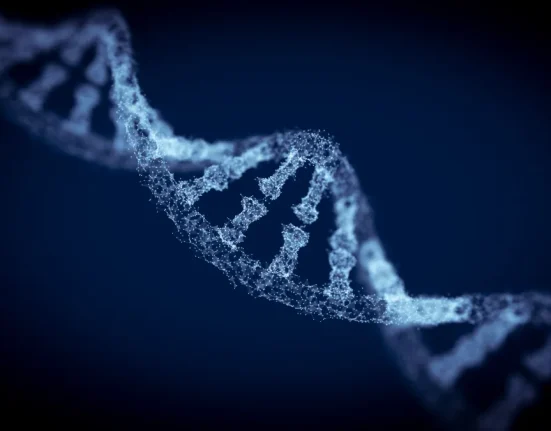 Les scientifiques découvrent le gène régissant la vie éveillée des organismes.