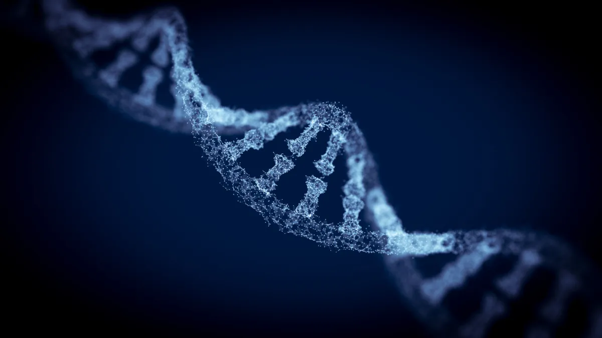 Les scientifiques découvrent le gène régissant la vie éveillée des organismes.