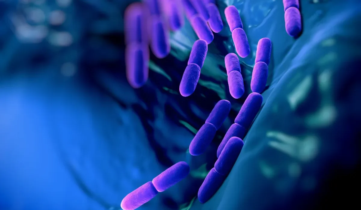 Les scientifiques élargissent le code génétique des bactéries.