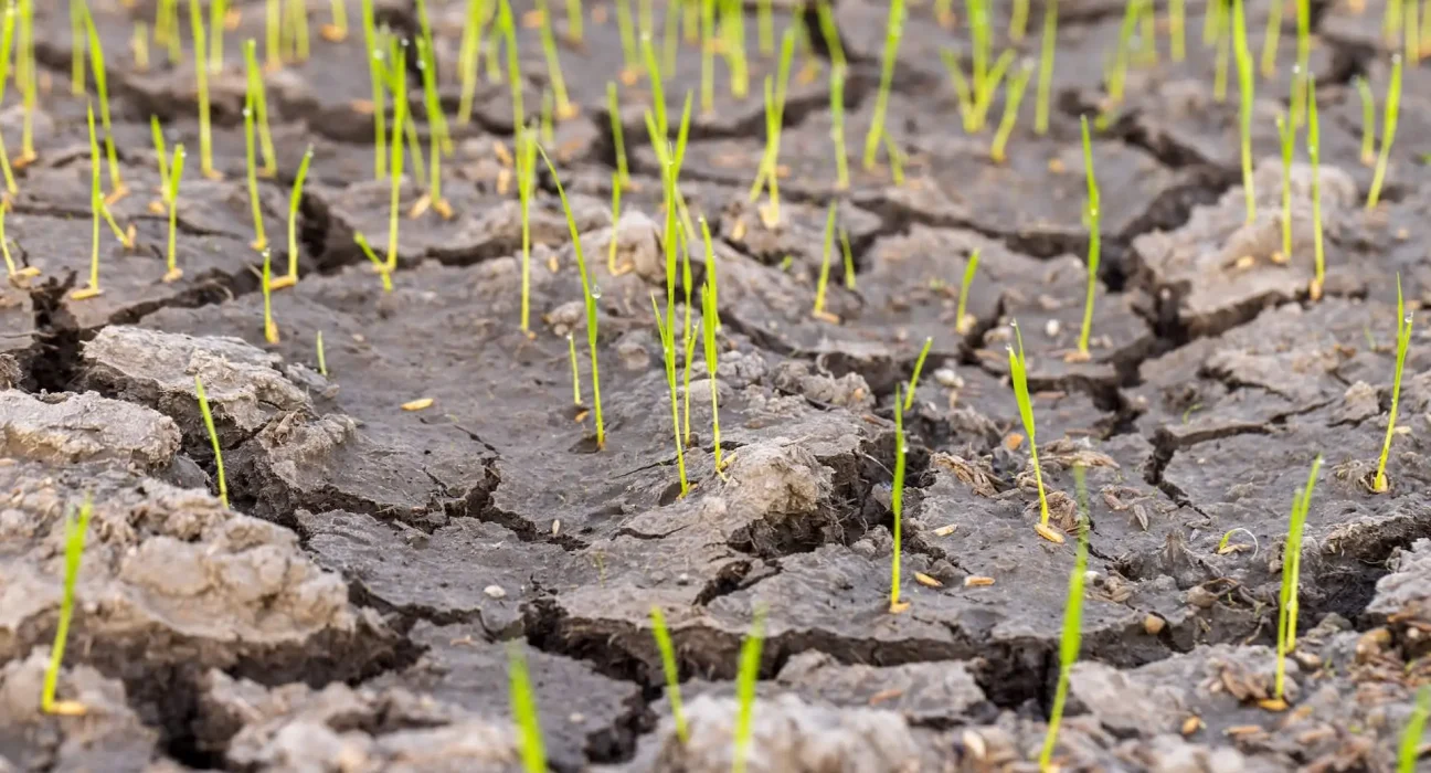 Les tempêtes de mai apportent un répit aux Plaines du Sud, mais la crise milliardaire demeure.