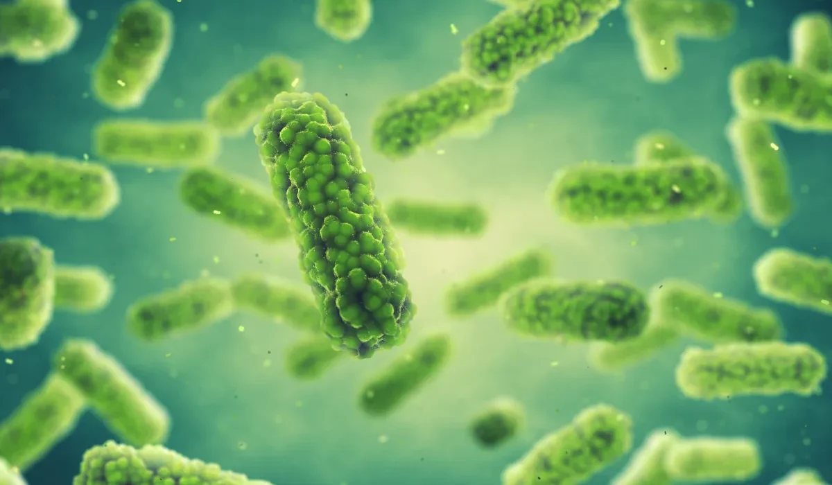 Micromoteurs Médicamenteux : Premier Traitement d'une Infection Bactérienne dans l'Estomac