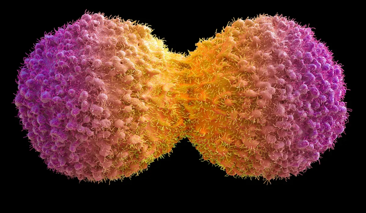 Nouvelle Technique CRISPR : Viser et Neutraliser le Centre de Commandement du Cancer.