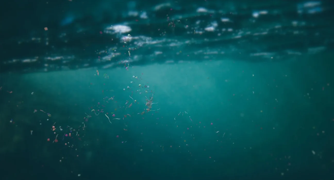 Qui prendra en charge le nettoyage des microplastiques ? Une responsabilité à envisager.