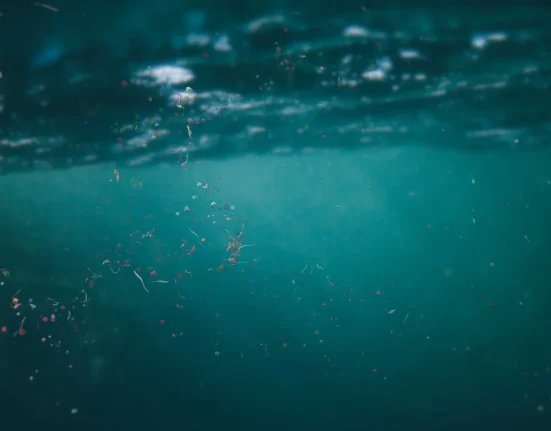 Qui prendra en charge le nettoyage des microplastiques ? Une responsabilité à envisager.