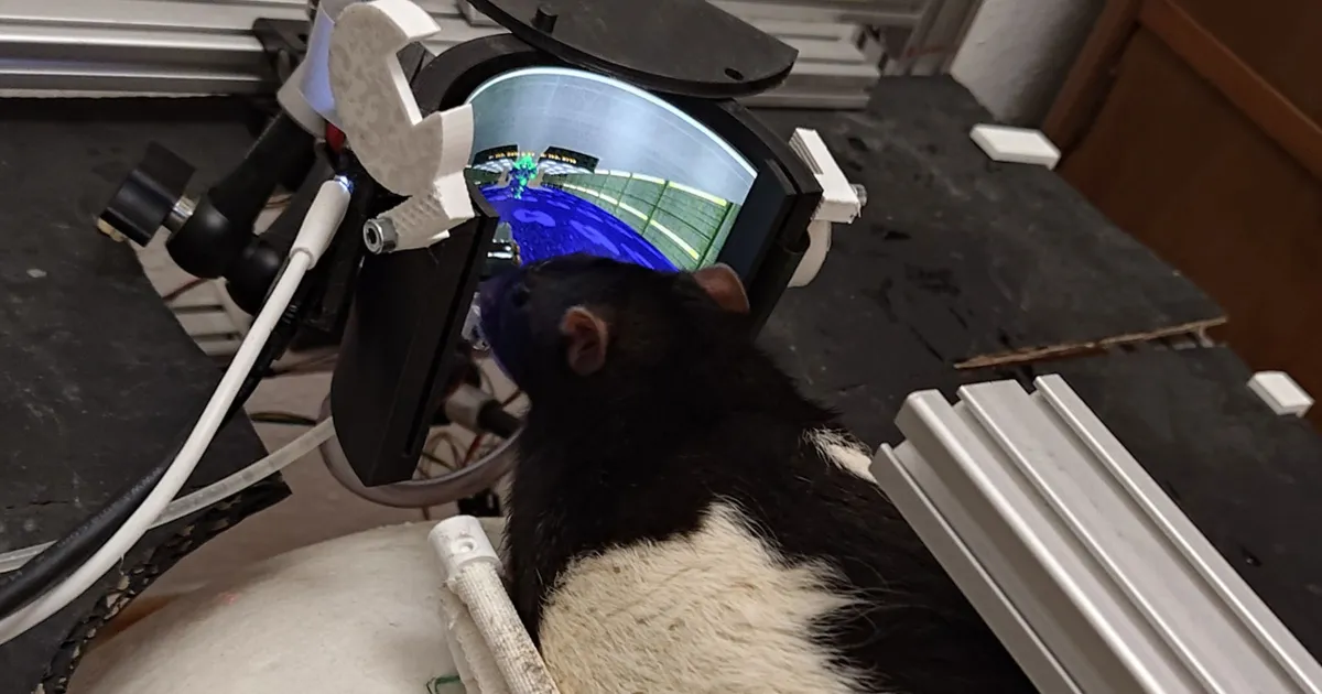 Rats Équipés pour Affronter les Démons dans 'Doom'