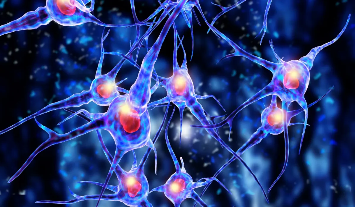 Remplacer des Cellules Cérébrales : Une Voie Prometteuse Contre la Maladie de Parkinson