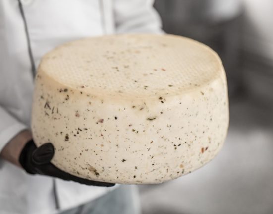 Révélation des Bactéries Secrets des Fromages Artisanaux : Un Bienfait pour la Santé ?