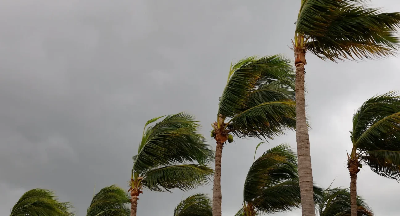 « Saison cyclonique atlantique 2026 : NOAA anticipe une accalmie, mais un seul ouragan peut tout changer »