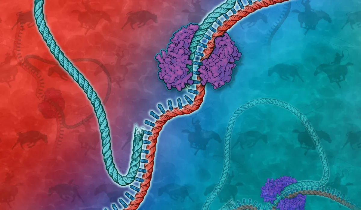 Technique de Clonage Révolutionnaire : Clonage de Milliers de Gènes en Un Seul Acte