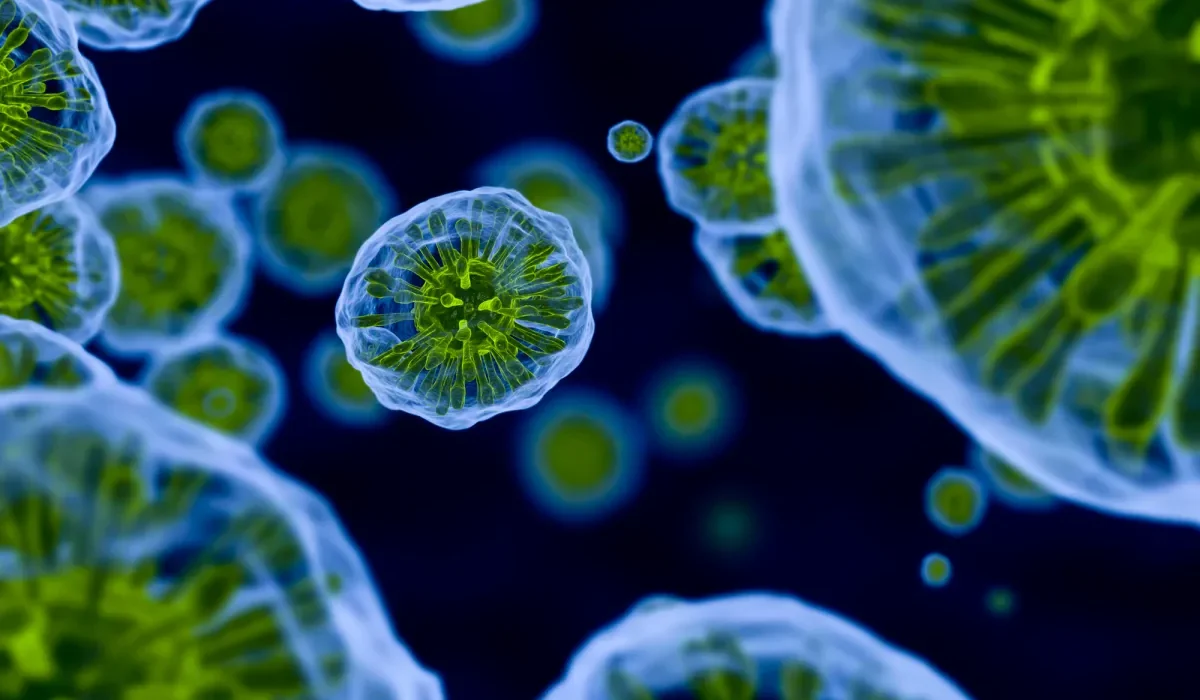 Un Essai Clinique à Grande Échelle sur un Vaccin Contre le VIH s'Annonce.
