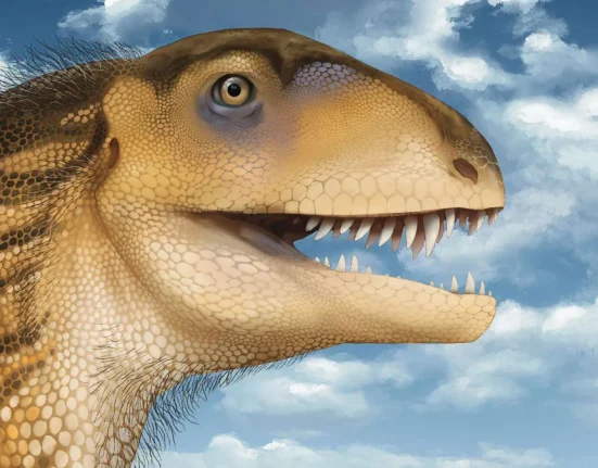 Un Étudiant Universitaire Dévoile un Dinosaur Bizarre Carnivore Age de Trois Fois Celui du T. rex.