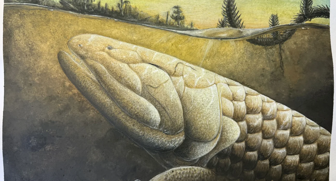 Un Fossile de Poisson Âgé de 380 Millions d'Années Dévoile les Secrets des Premiers Pas de la Vie sur Terre