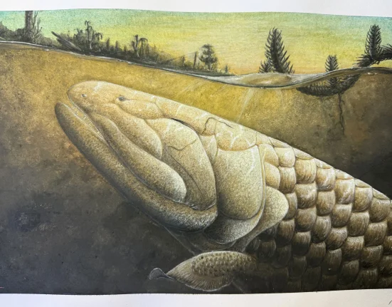Un Fossile de Poisson Âgé de 380 Millions d'Années Dévoile les Secrets des Premiers Pas de la Vie sur Terre