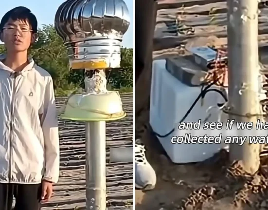 Un adolescent de 14 ans invente un système d'irrigation pour venir en aide aux agriculteurs face à la sécheresse.
