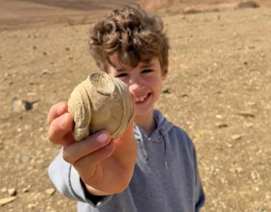 Un garçon de 8 ans fait une découverte extraordinaire de 1 700 ans en cherchant des pierres avec son père.