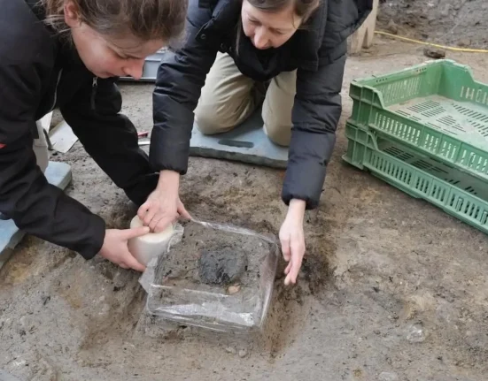 Une Michèle Romain de 2,000 Ans Découverte en Suisse : Une Première pour le Pays