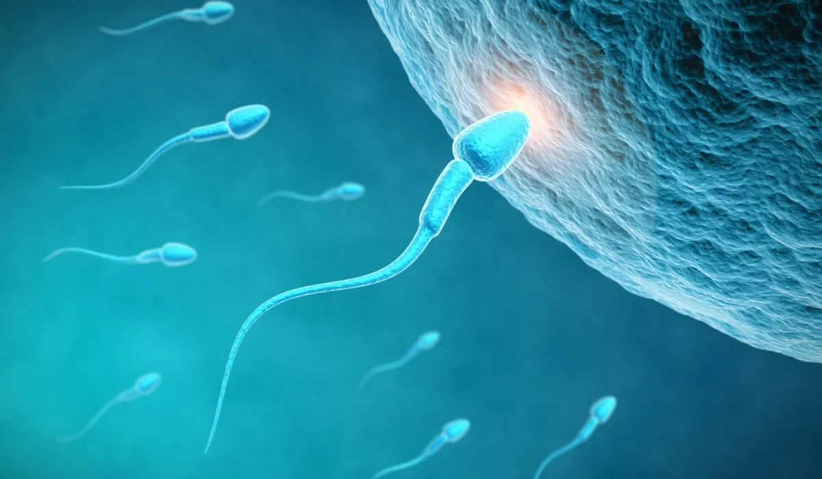 Une Nouvelle Méthode de Contraception Protège Contre le VIH et la Grossesse